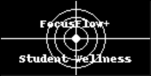 FocusFlow+ embedded system startup logo displayed on an OLED screen